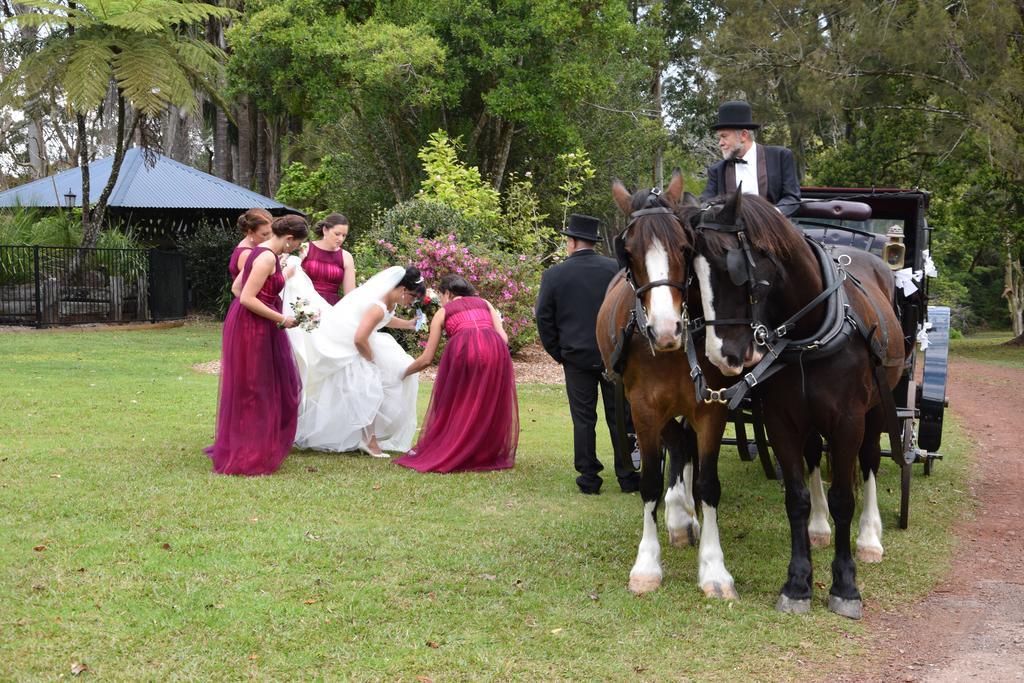 Mccarthy Lake House Maleny Dış mekan fotoğraf